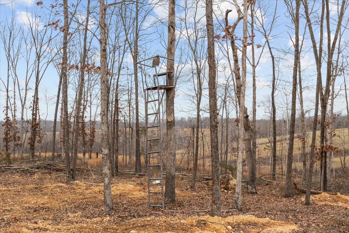 1690 Lucas Ridge Waverly, TN 37185 - Photo 47 of 47