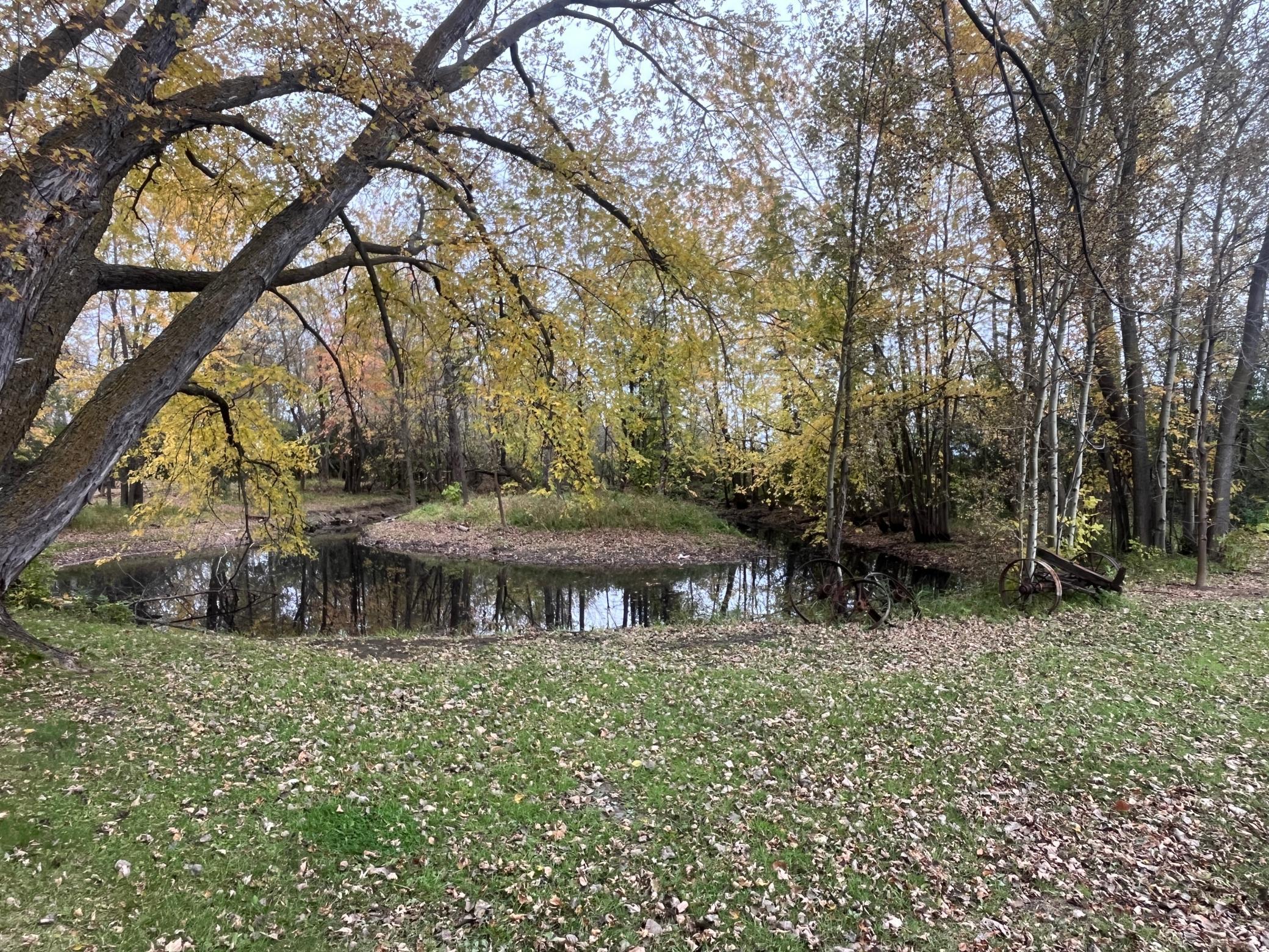 10 Borud Street Winger, MN 56592 - Photo 12 of 13