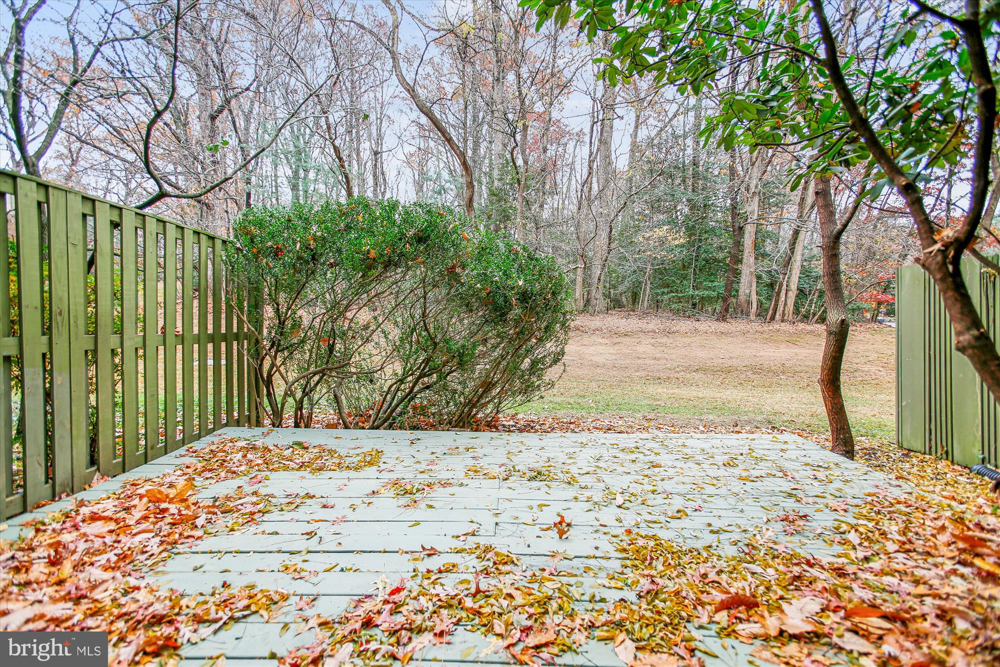 2025 Winged Foot Court Reston, VA 20191 - Photo 41 of 59 a view of a backyard of the house
