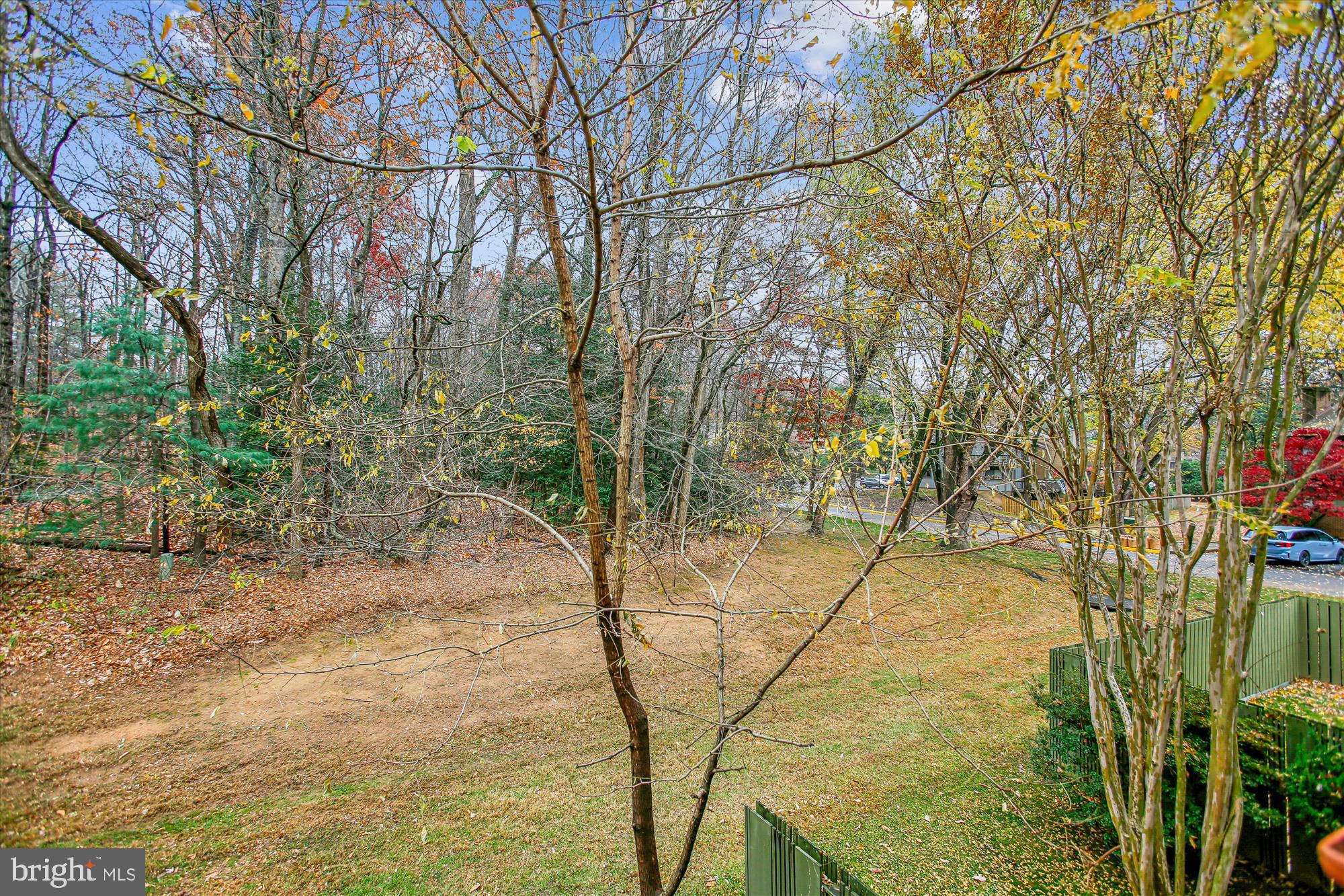 2025 Winged Foot Court Reston, VA 20191 - Photo 44 of 59 a view of a yard with an trees