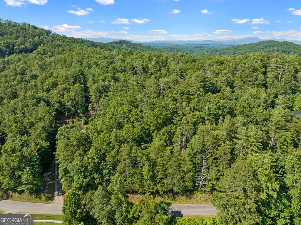 2-ac Ritchie Creek Road Blue Ridge, GA 30513 - Photo 7 of 12