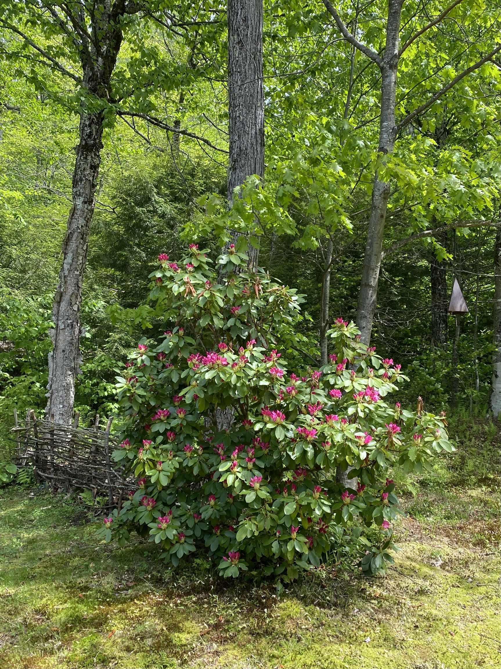 1041 Church Hollow Road Marlboro, VT 05301 - Photo 45 of 51