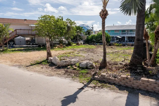 a view of a yard with palm tree