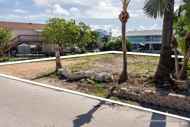 a view of a yard with palm tree