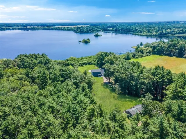 a view of a lake with plants and large trees