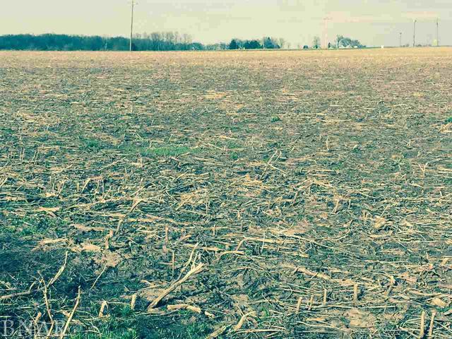 17200 Swisher Hill Road Dewitt, IL 61735 - Photo 2 of 4
