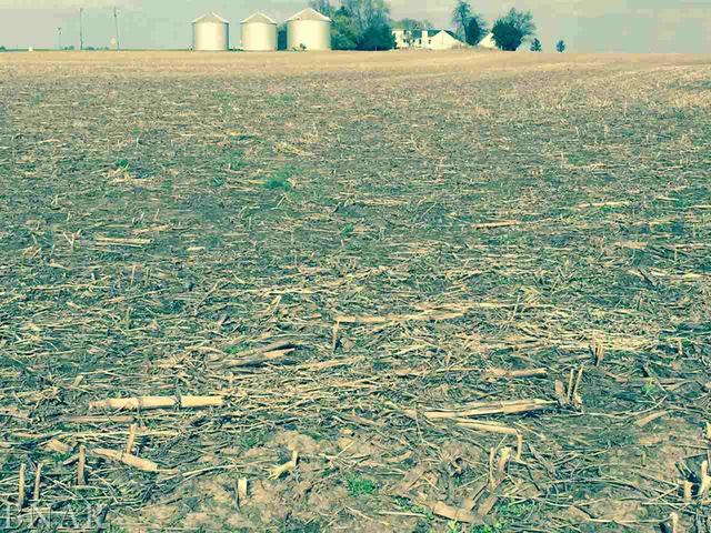 17200 Swisher Hill Road Dewitt, IL 61735 - Photo 3 of 4