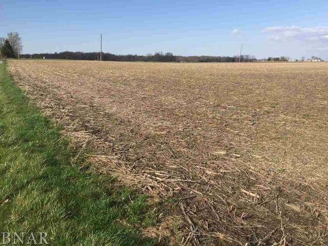 17200 Swisher Hill Road Dewitt, IL 61735 - Photo 4 of 4