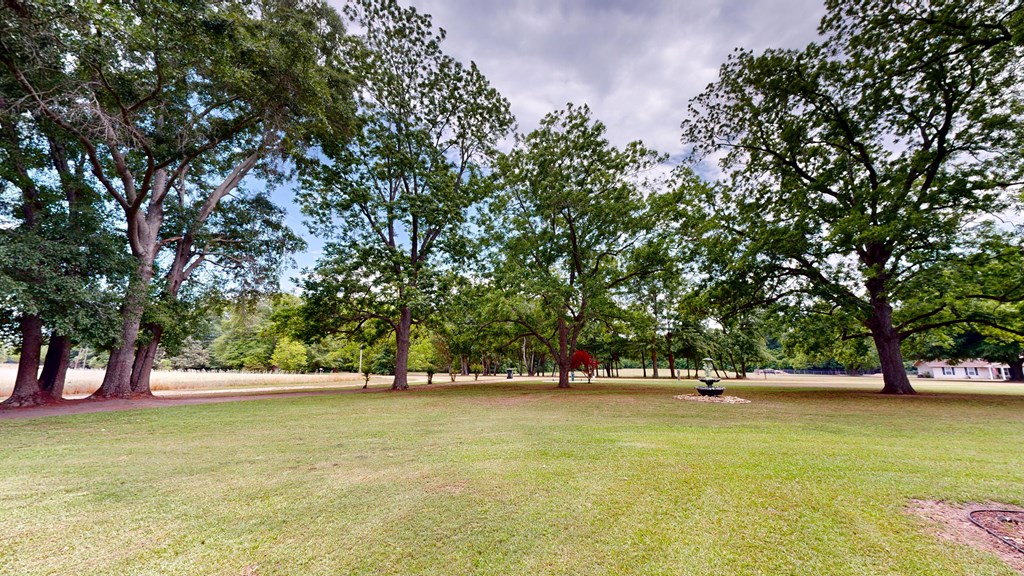 442 Hicks Road Dothan, AL 36303 - Photo 6 of 49