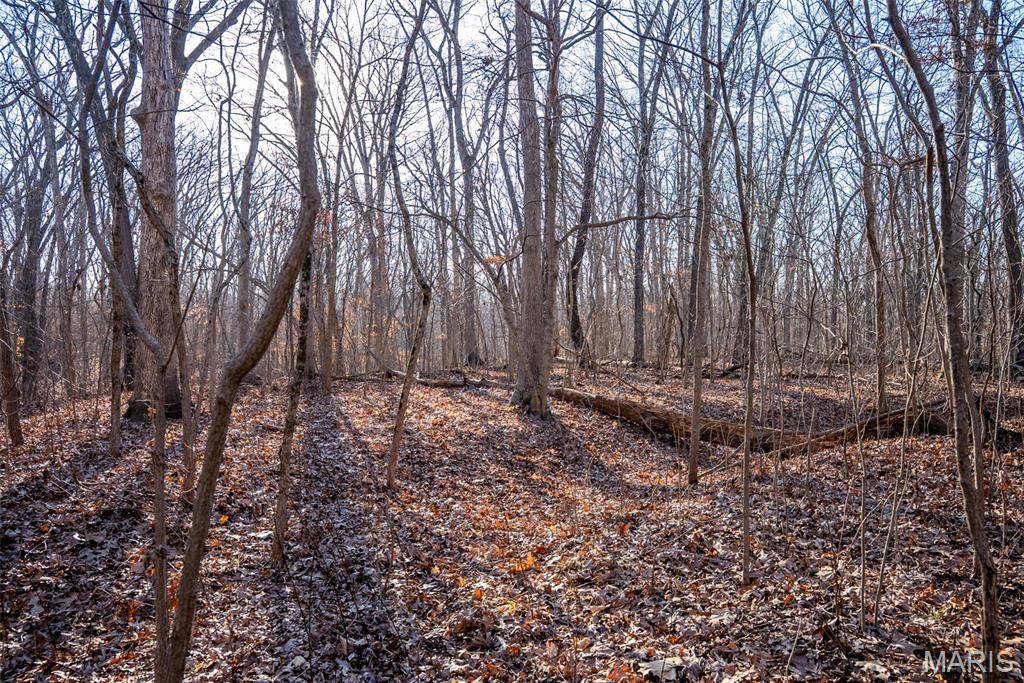 1910 Stage Coach Lane Sorento, IL 62086 - Photo 11 of 17