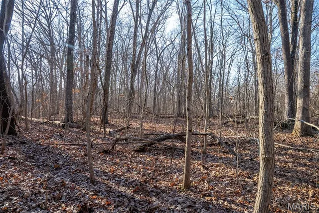 $44,000 | 1910 Stage Coach Lane, Sorento, IL 62086