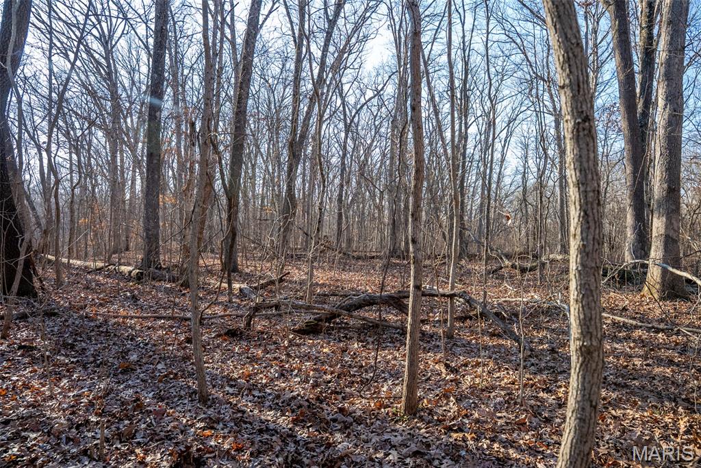 1910 Stage Coach Lane Sorento, IL 62086 - Photo 12 of 17