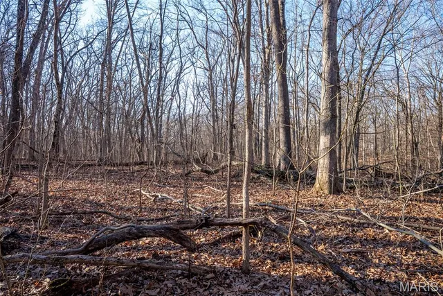 $44,000 | 1910 Stage Coach Lane, Sorento, IL 62086