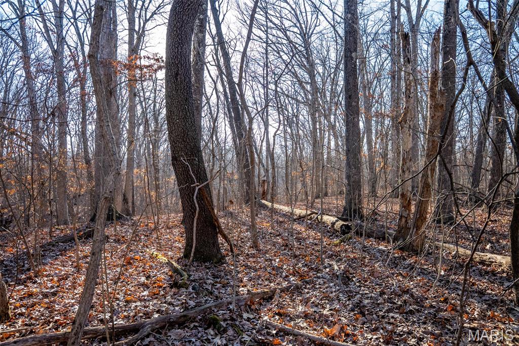 1910 Stage Coach Lane Sorento, IL 62086 - Photo 14 of 17