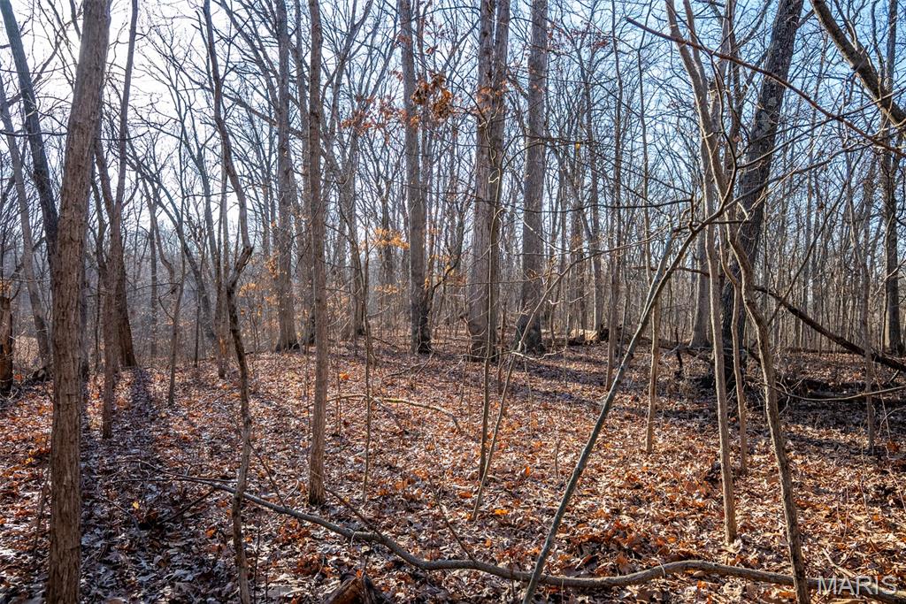 1910 Stage Coach Lane Sorento, IL 62086 - Photo 15 of 17