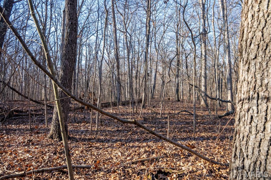 1910 Stage Coach Lane Sorento, IL 62086 - Photo 16 of 17