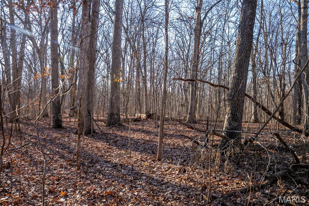 1910 Stage Coach Lane Sorento, IL 62086 - Photo 17 of 17