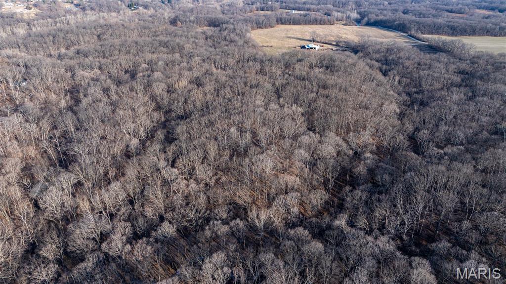 1910 Stage Coach Lane Sorento, IL 62086 - Photo 2 of 17