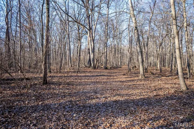 $44,000 | 1910 Stage Coach Lane, Sorento, IL 62086