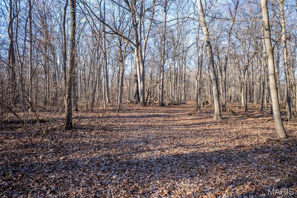 1910 Stage Coach Lane Sorento, IL 62086 - Photo 3 of 17