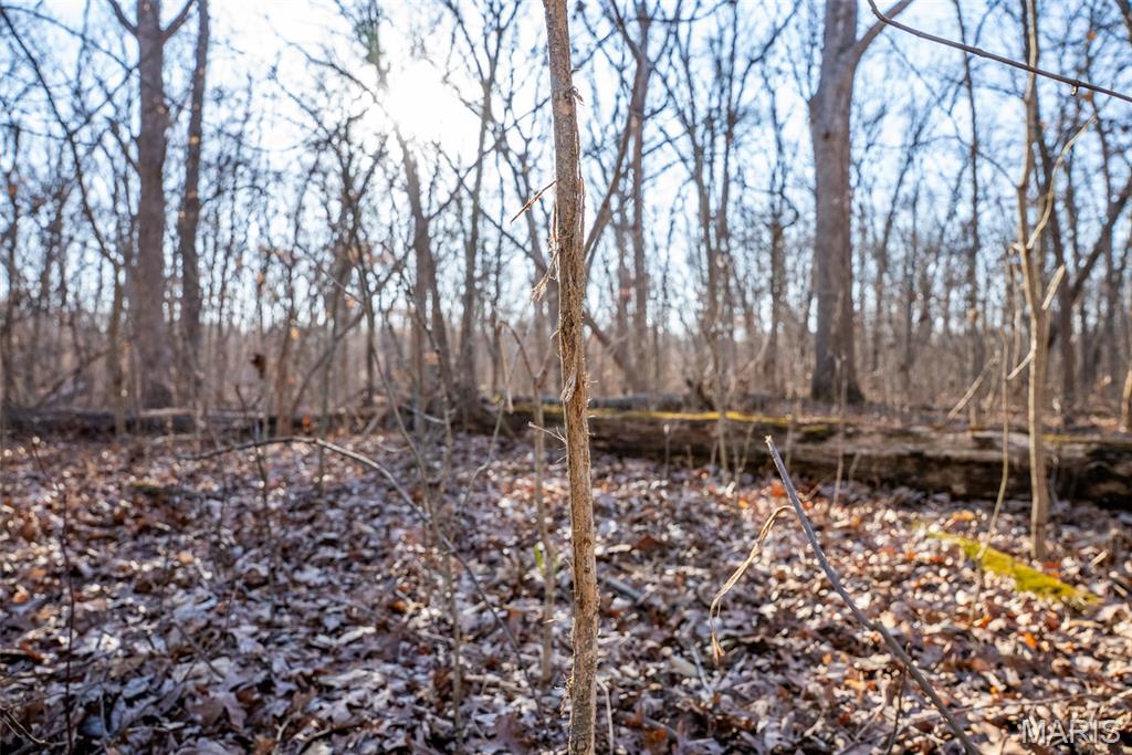 1910 Stage Coach Lane Sorento, IL 62086 - Photo 4 of 17