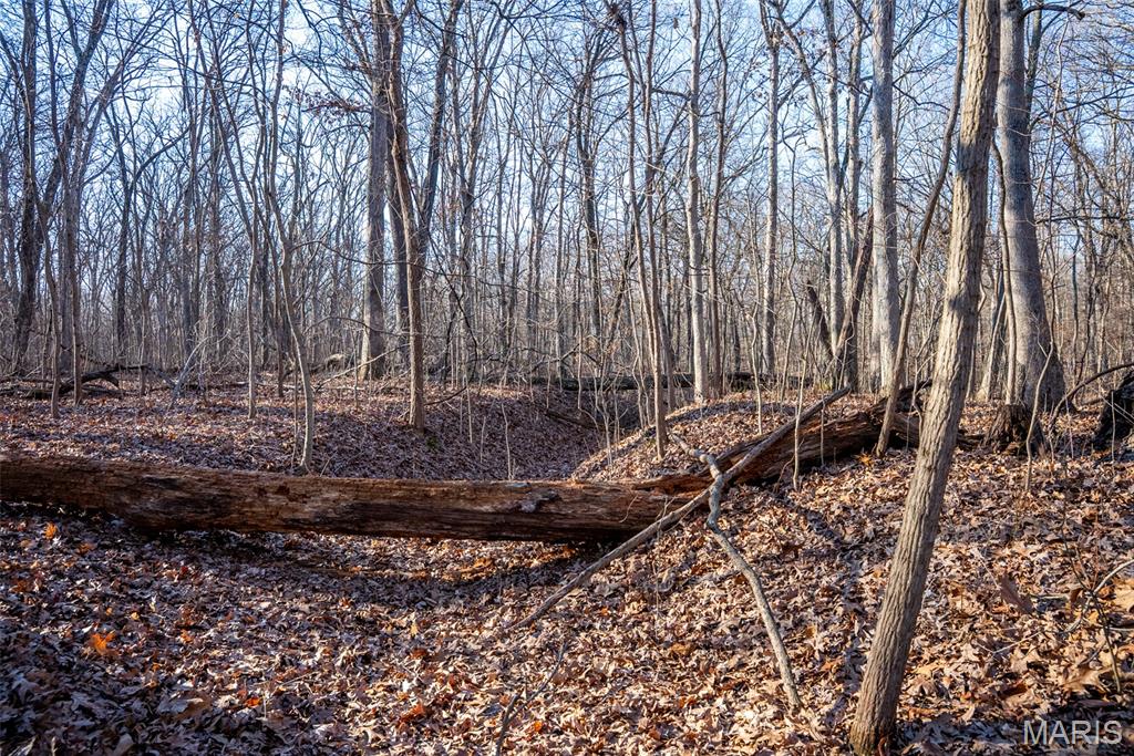 1910 Stage Coach Lane Sorento, IL 62086 - Photo 5 of 17
