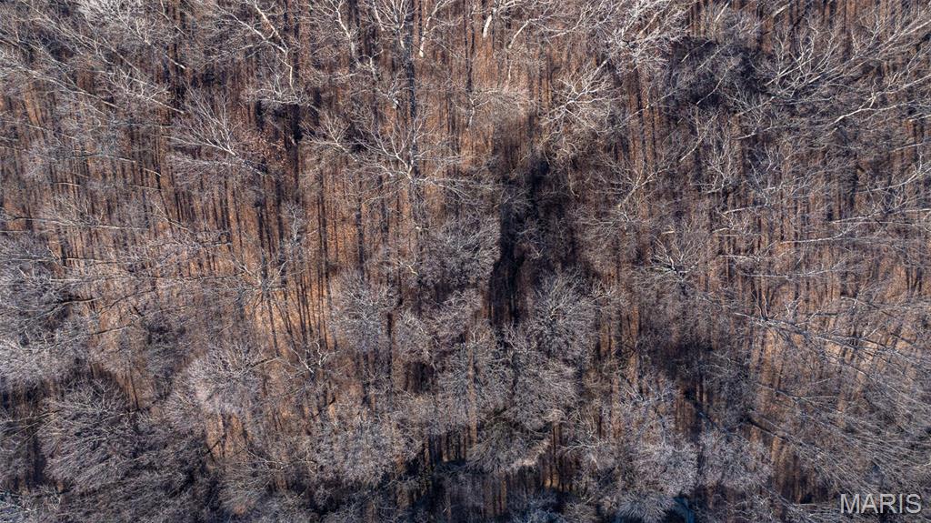 1910 Stage Coach Lane Sorento, IL 62086 - Photo 6 of 17