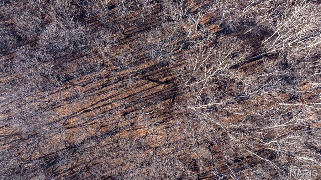 1910 Stage Coach Lane Sorento, IL 62086 - Photo 7 of 17