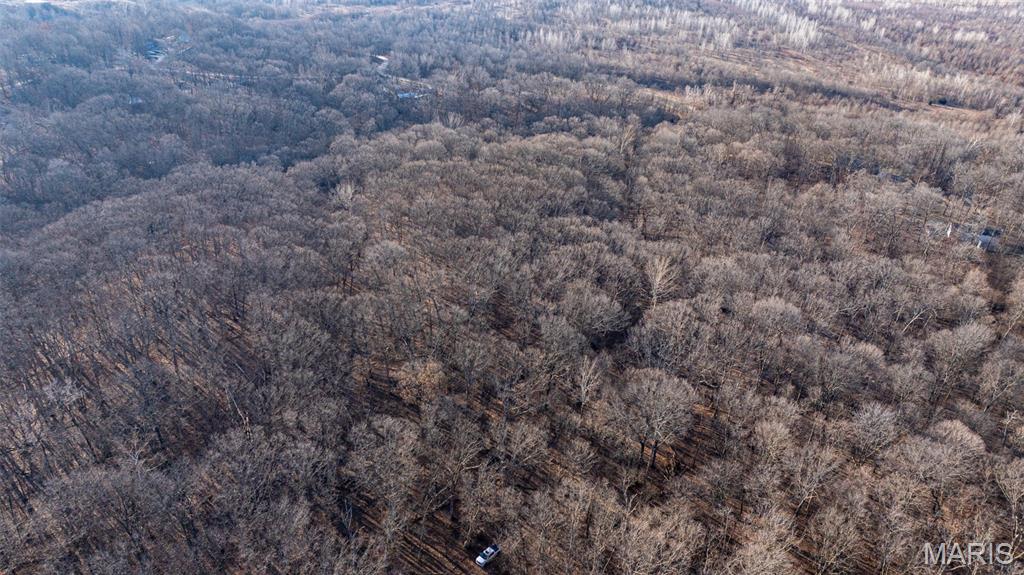 1910 Stage Coach Lane Sorento, IL 62086 - Photo 9 of 17