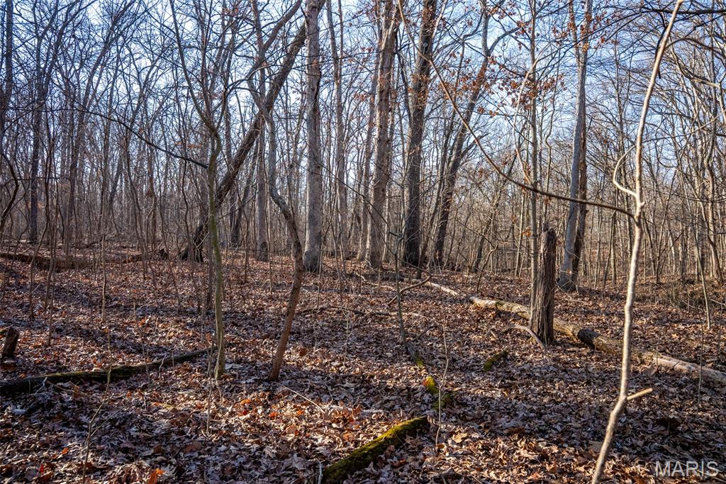 1910 Stage Coach Lane Sorento, IL 62086 - Photo 10 of 17
