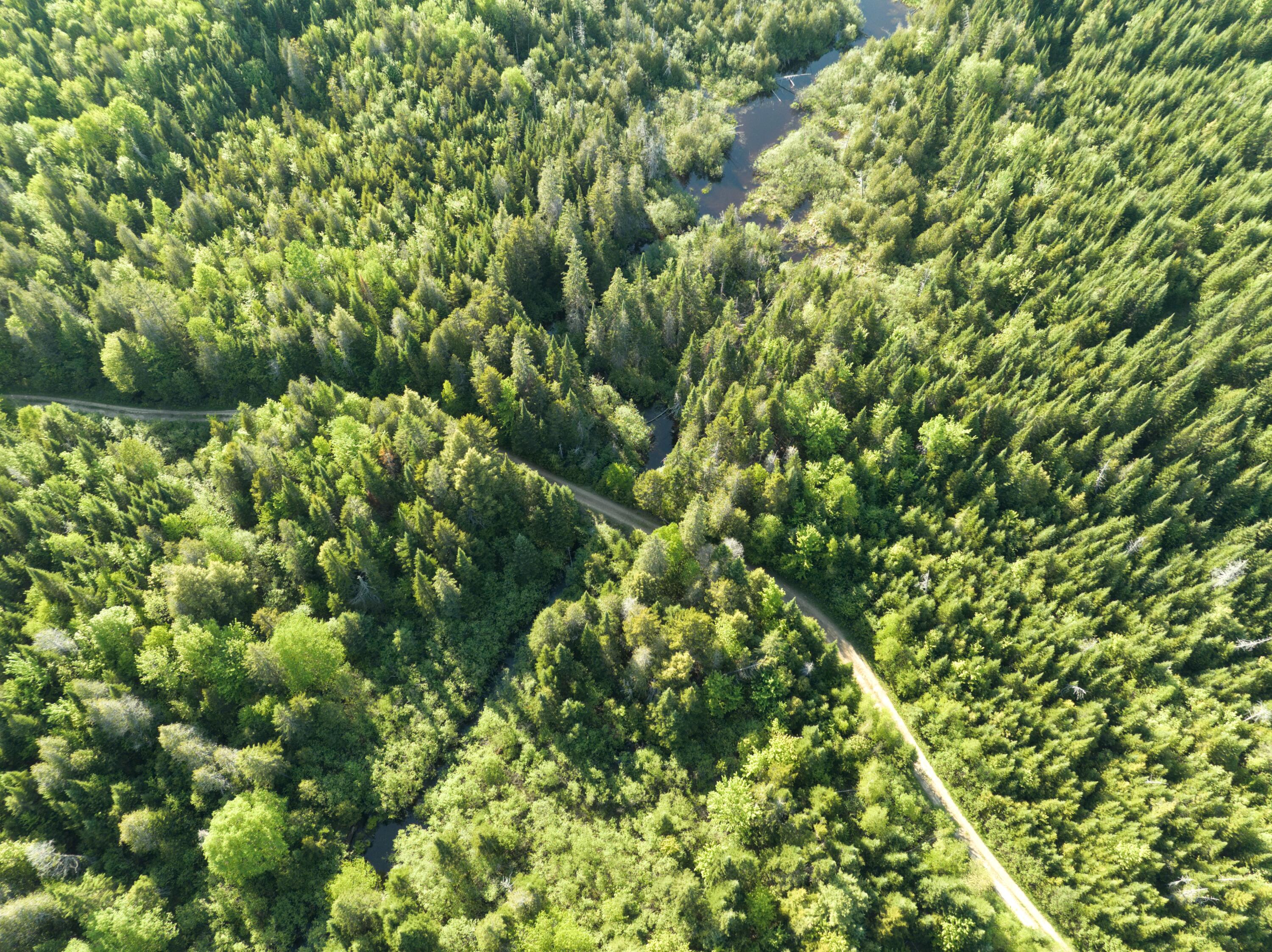 0 Dixie Road Wytopitlock, ME 04497 - Photo 5 of 22