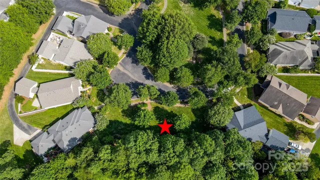 a view of a flower in a garden