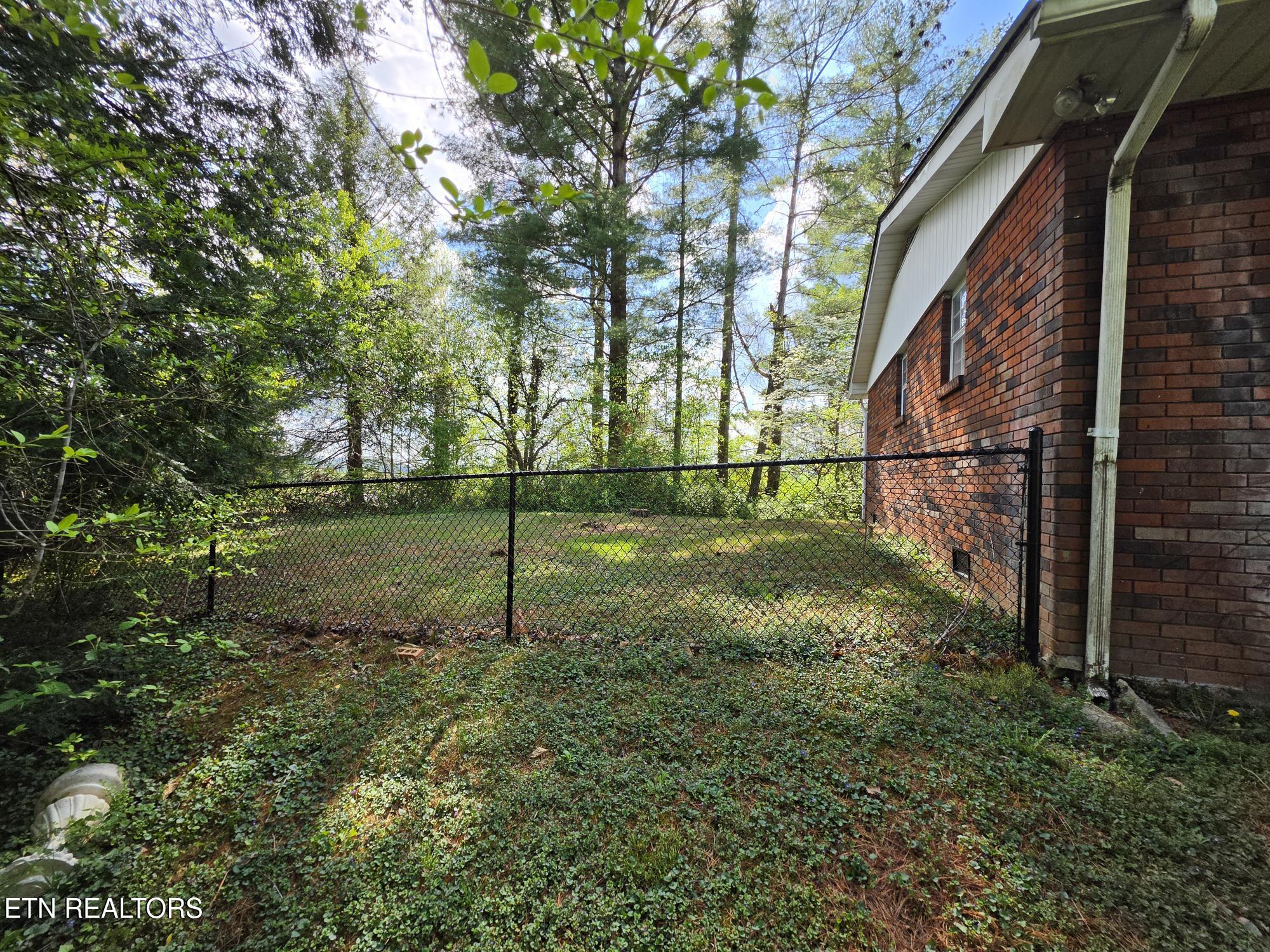 145 Wesley Harrogate, TN 37752 - Photo 3 of 13 Side Yard