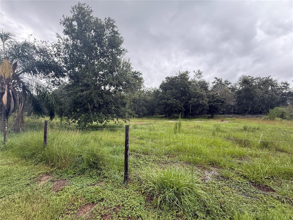 2480 Gene's Little Road Arcadia, FL 34266 - Photo 15 of 45