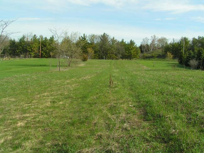 Land