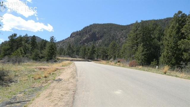 4619 Redstone Ridge Road Monument, CO 80132 - Photo 18 of 23