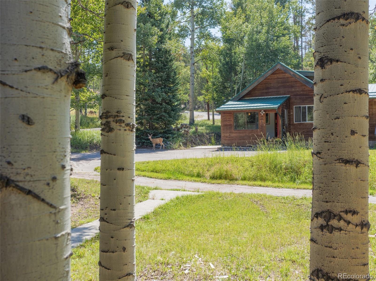 9061 Rex Lane Conifer, CO 80433 - Photo 30 of 48