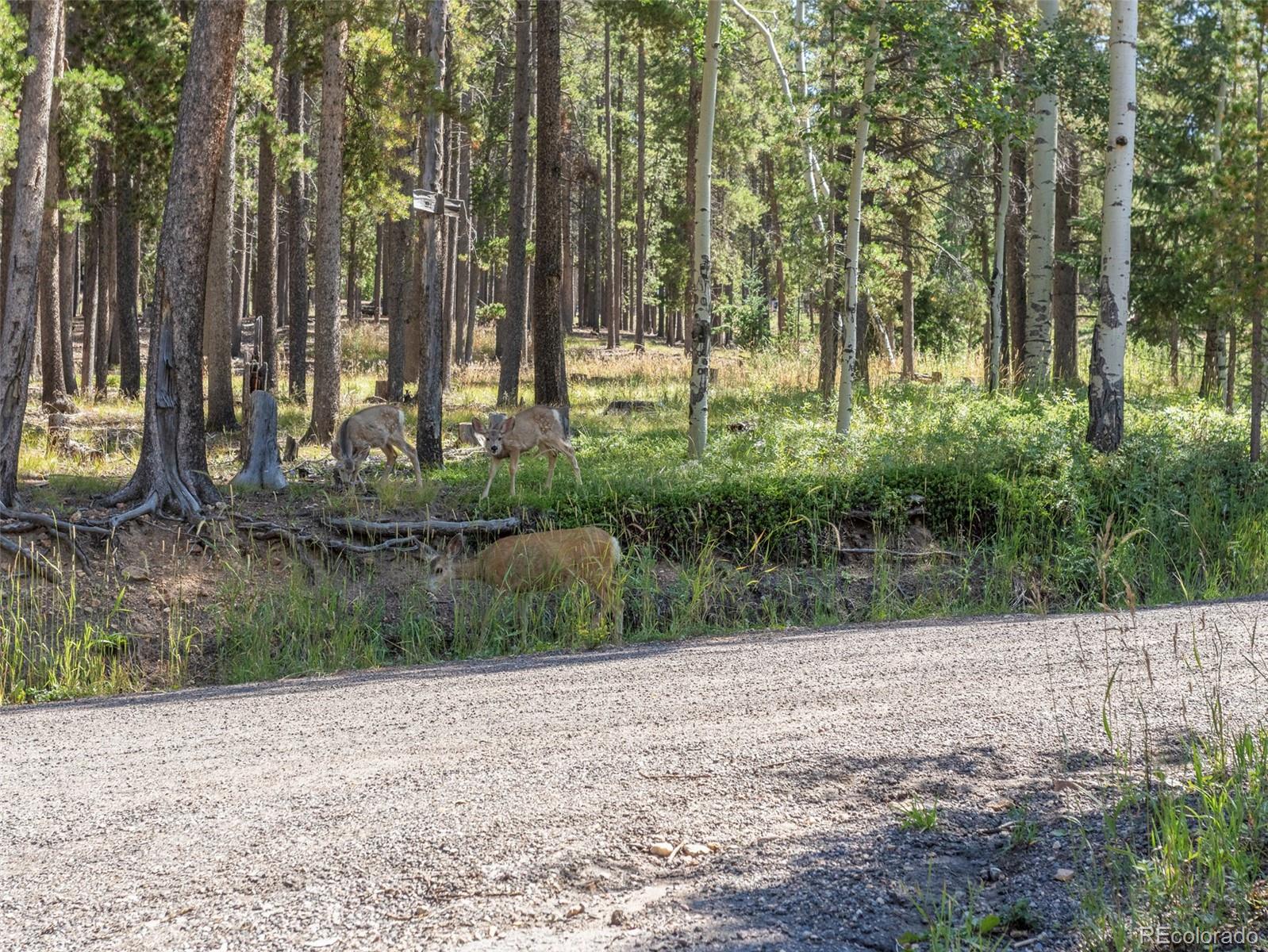 9061 Rex Lane Conifer, CO 80433 - Photo 45 of 48