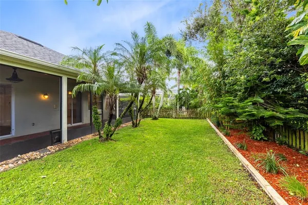 a view of a backyard with plants