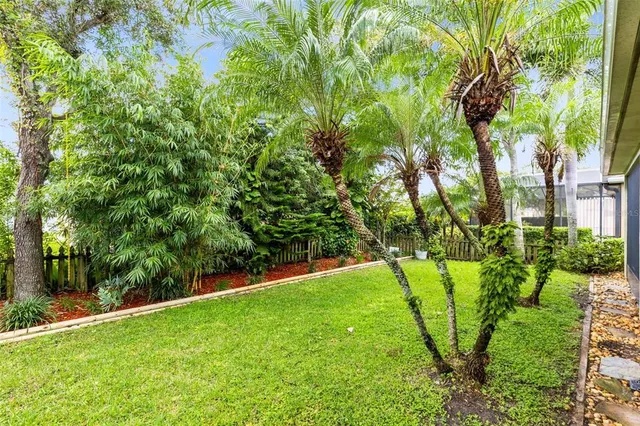 a view of yard with large trees