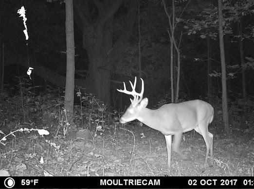 8130 Finney Road Glasgow, KY 42141 - Photo 33 of 34 Gallery Image 33
