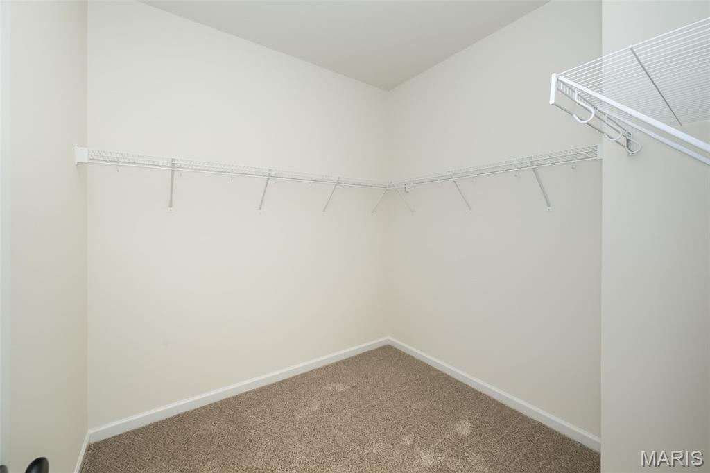 3050 Eagle Branch Circle St. Paul, MO 63366 - Photo 13 of 17