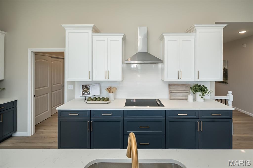 3050 Eagle Branch Circle St. Paul, MO 63366 - Photo 10 of 17