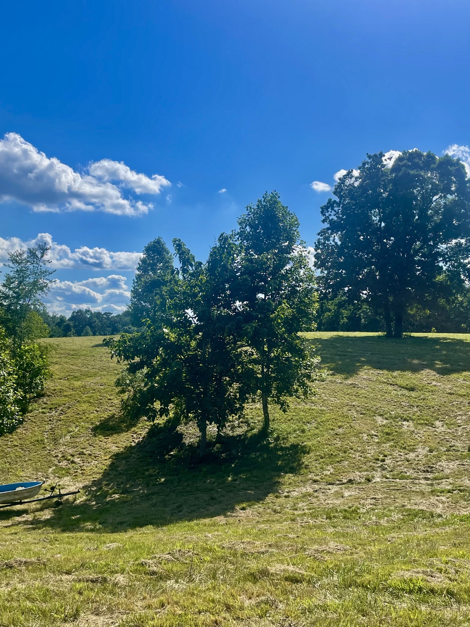 9533 Buttermilk Ridge Road Lawrenceburg, TN 38464 - Photo 15 of 82