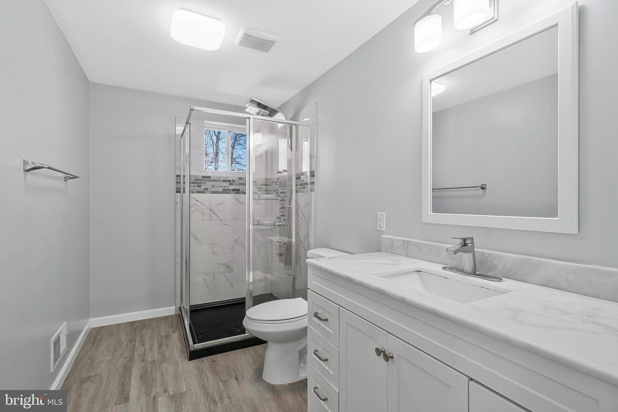 4522 Cub Run Road Chantilly, VA 20151 - Photo 12 of 19 a bathroom with a sink a toilet a mirror and shower