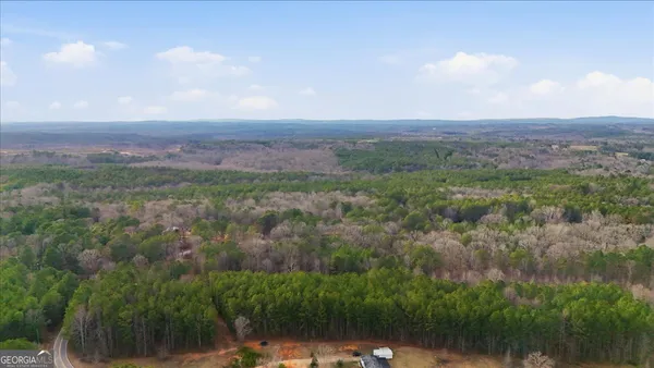 $60,000 | 0 Williamson Road, Tallapoosa, GA 30176