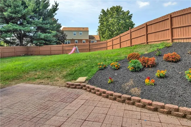 a view of a backyard with plants