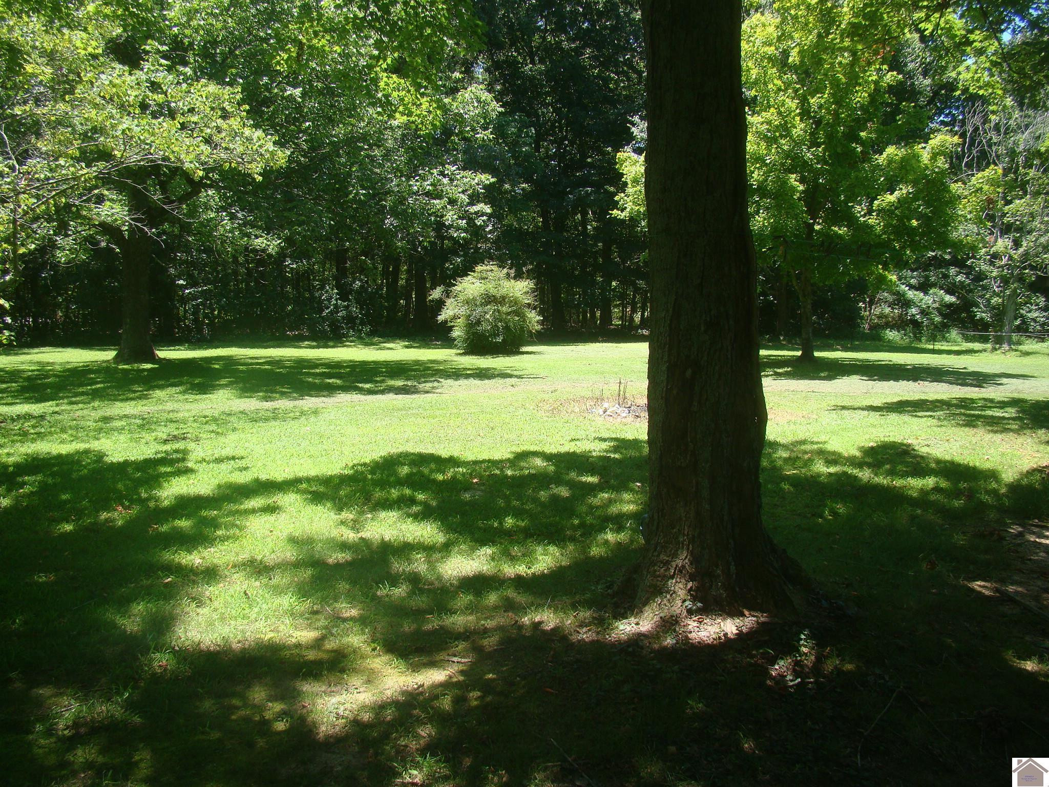 145 Hunter Road Cadiz, KY 42211 - Photo 8 of 13 Photo 8