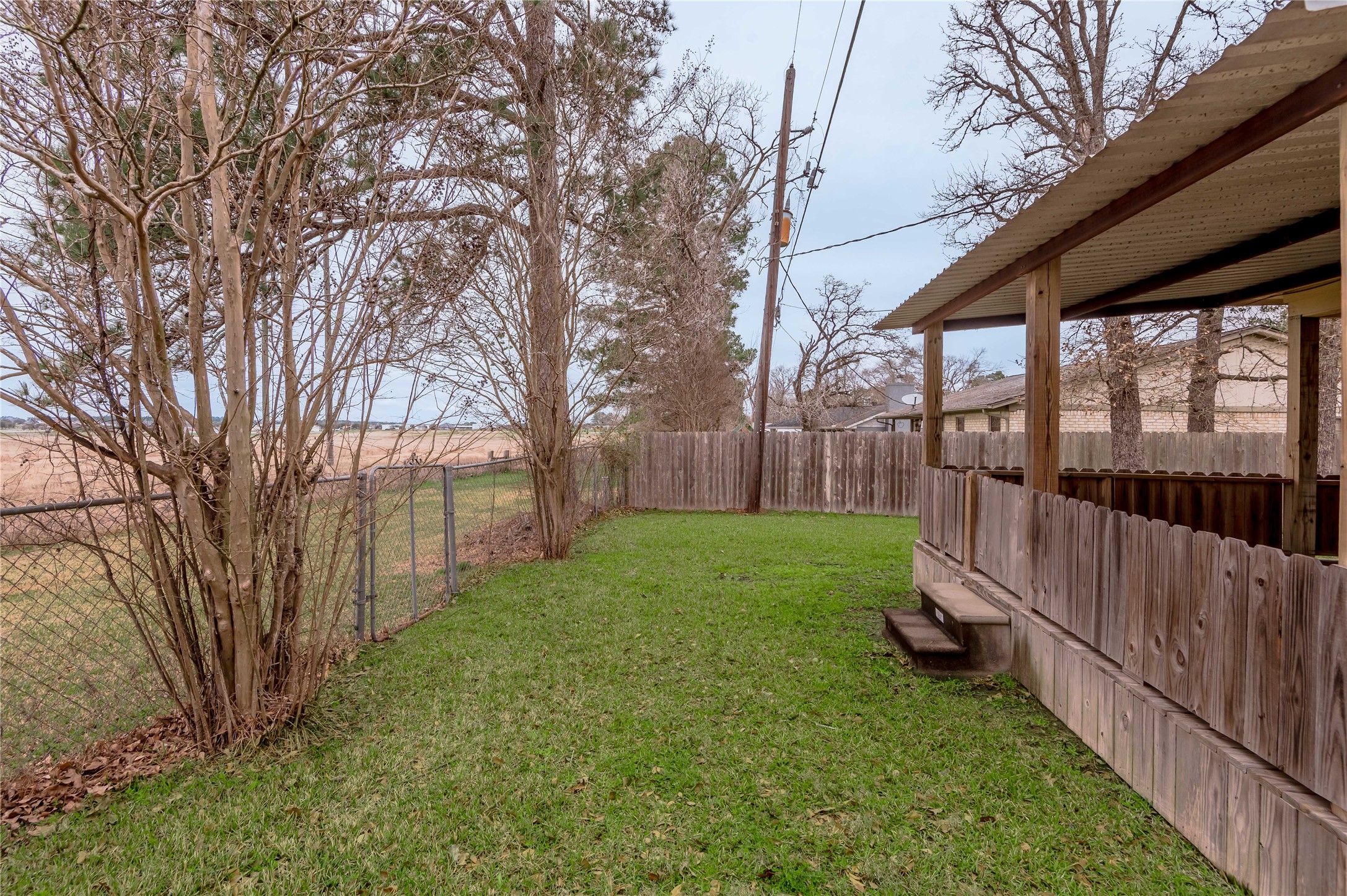114 Timberline Drive Huntsville, TX 77320 - Photo 22 of 26 a view of a yard with a large tree