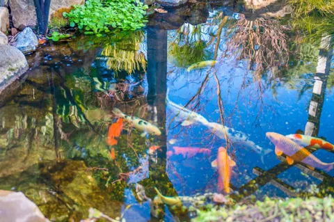 $2,499,000 | 12170 Calle Uvas, Gilroy, CA 95020